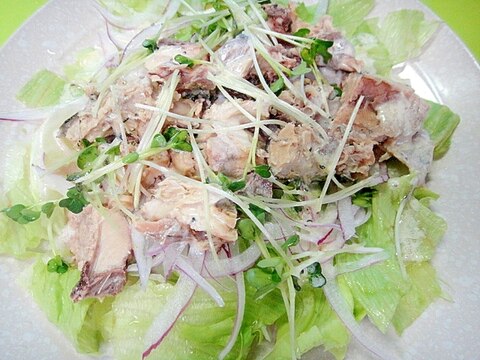 サバ缶と紫玉ねぎのサラダ